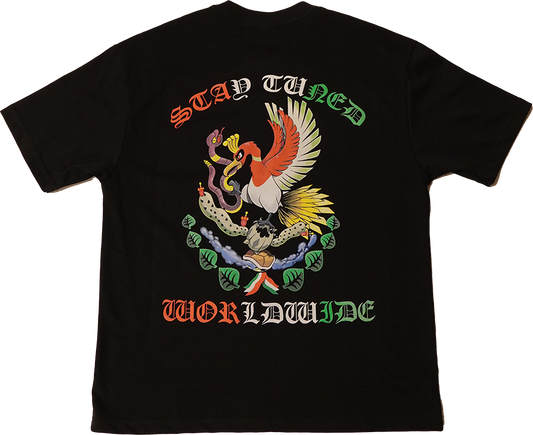 Black Pokémon Flag V2